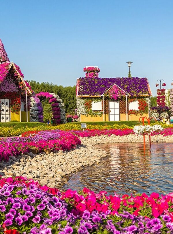 miracle-garden-dubai-ceetiz-4